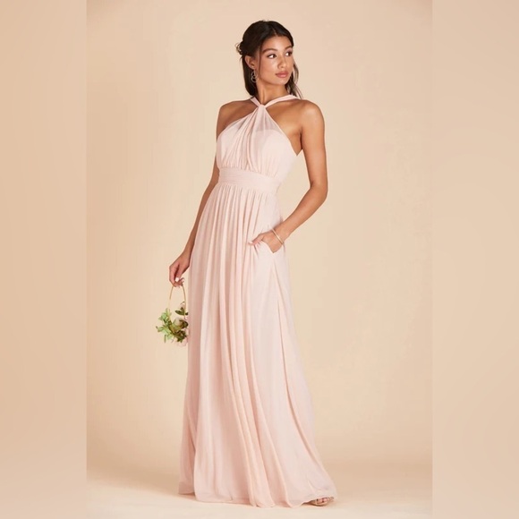 NWT Birdy Grey Kiko Dress in Mesh Pale Blush - Picture 2 of 6